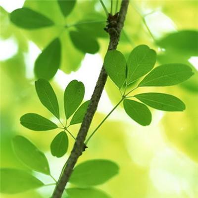 免费gba模拟器中文版下载