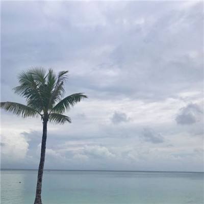 我在明朝当皇帝最新版下载