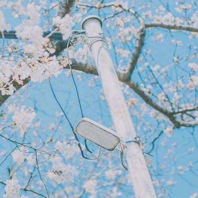 山海百闻录官方版下载